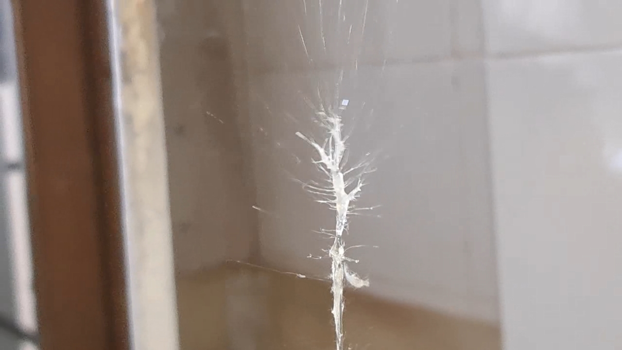 Electrospinning: Solution of Polystyrene in Methylene Chloride